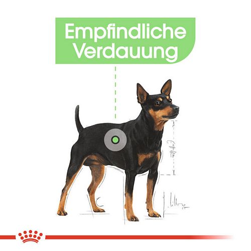 Royal Canin DIGESTIVE CARE MINI Trockenfutter für kleine Hunde mit empfindlicher Verdauung