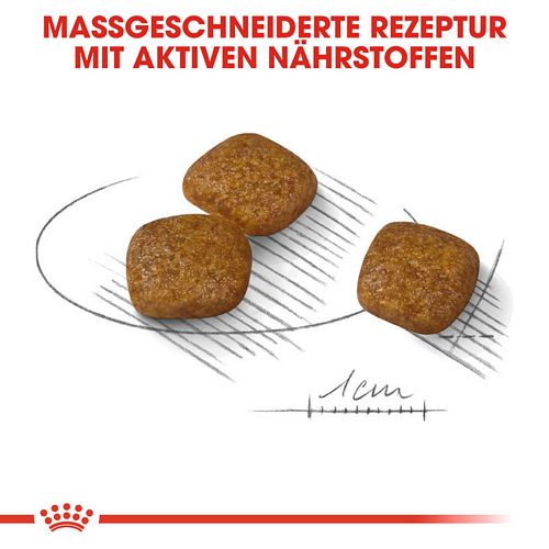 Royal Canin Urinary Care MINI Trockenfutter Kroketten