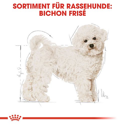 Royal Canin Bichon Frise Adult Hundefutter trocken