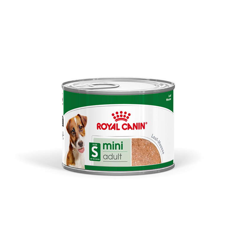 Royal Canin MINI ADULT - Nassfutter für ausgewachsene kleine Hunde - 12 x 195 g
