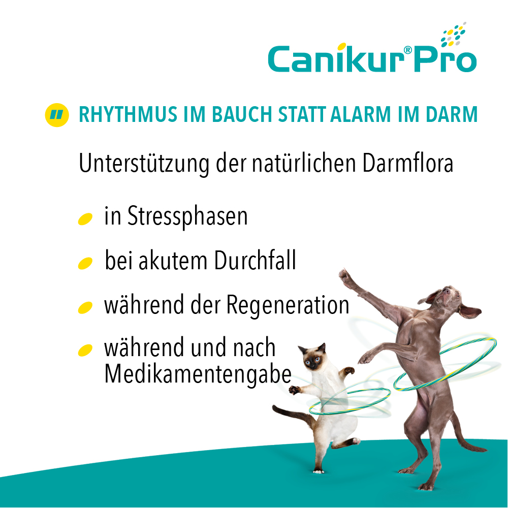 Canikur Pro Paste bei Durchfall für Hund und Katze von Boehringer Ingelheim