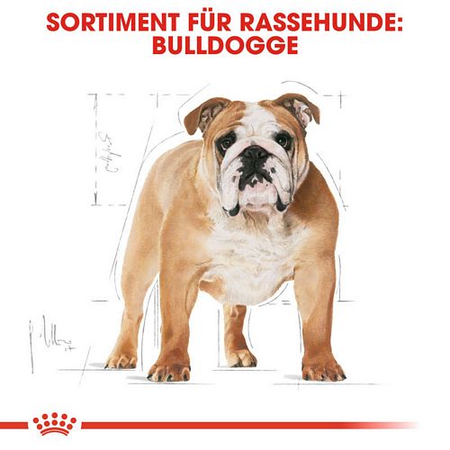 Royal Canin Bulldog Adult Trockenfutter