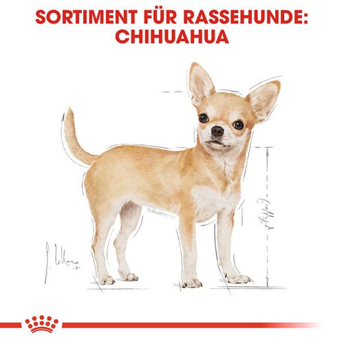 Royal Canin Chihuahua Adult Hundefutter nass in Soße