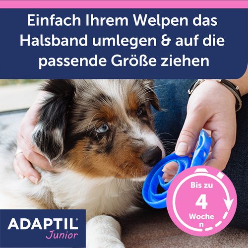 ADAPTIL Junior Halsband - Anti Stress Erziehungshalsband für Hundewelpen