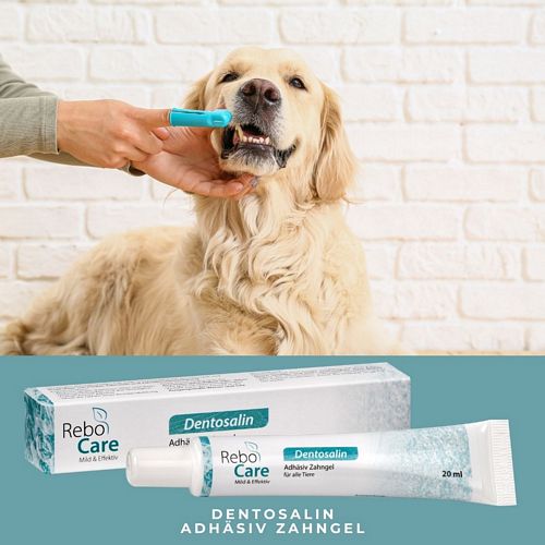 reboVet - ReboCare - DENTOSALIN - Zahngel