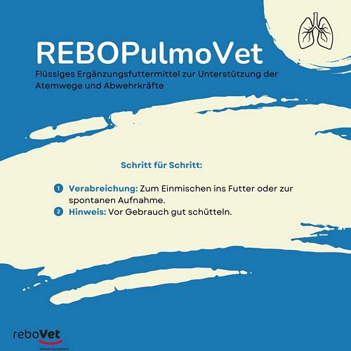 reboVet - REBO-PULMO-Vet - 100 ml