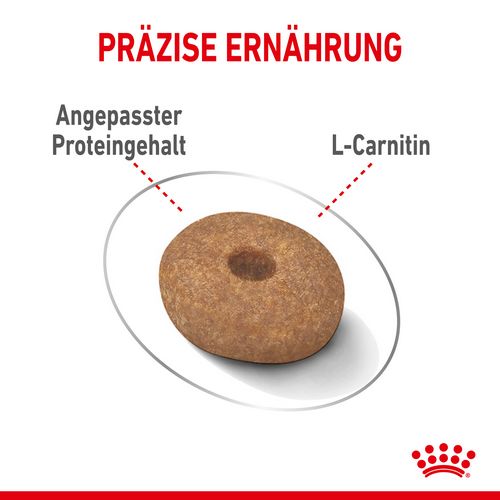 Royal Canin LIGHT WEIGHT CARE MINI Trockenfutter Kroketten