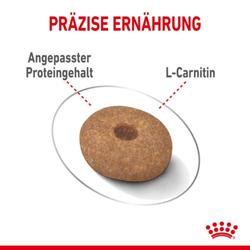 Royal Canin LIGHT WEIGHT CARE MINI Trockenfutter für zu Übergewicht neigenden Hunden