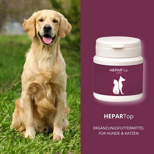 reboVet - ReboTabs - HEPAR-Top - 100 Tabs
