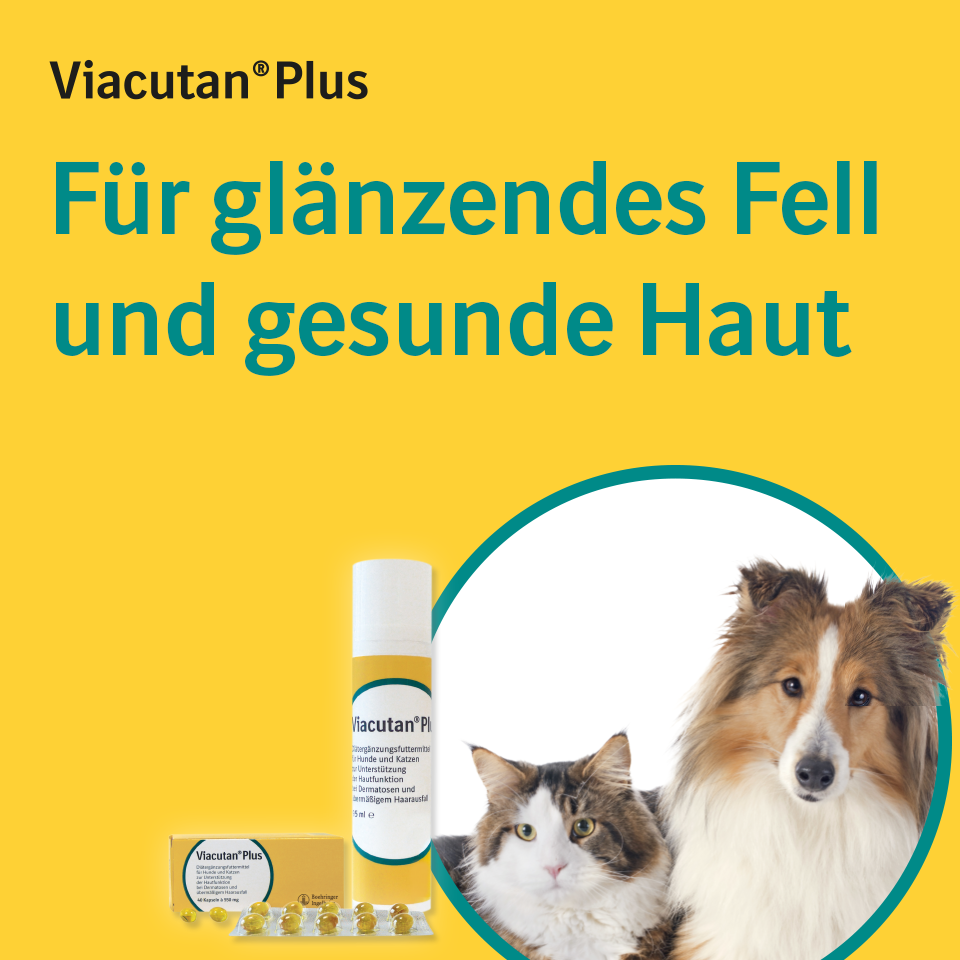 Für glänzendes Fell und gesunde Haut Für glänzendes Fell und gesunde Haut