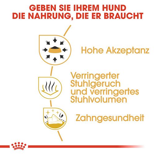 Royal Canin Chihuahua Adult Trockenfutter Vorteile