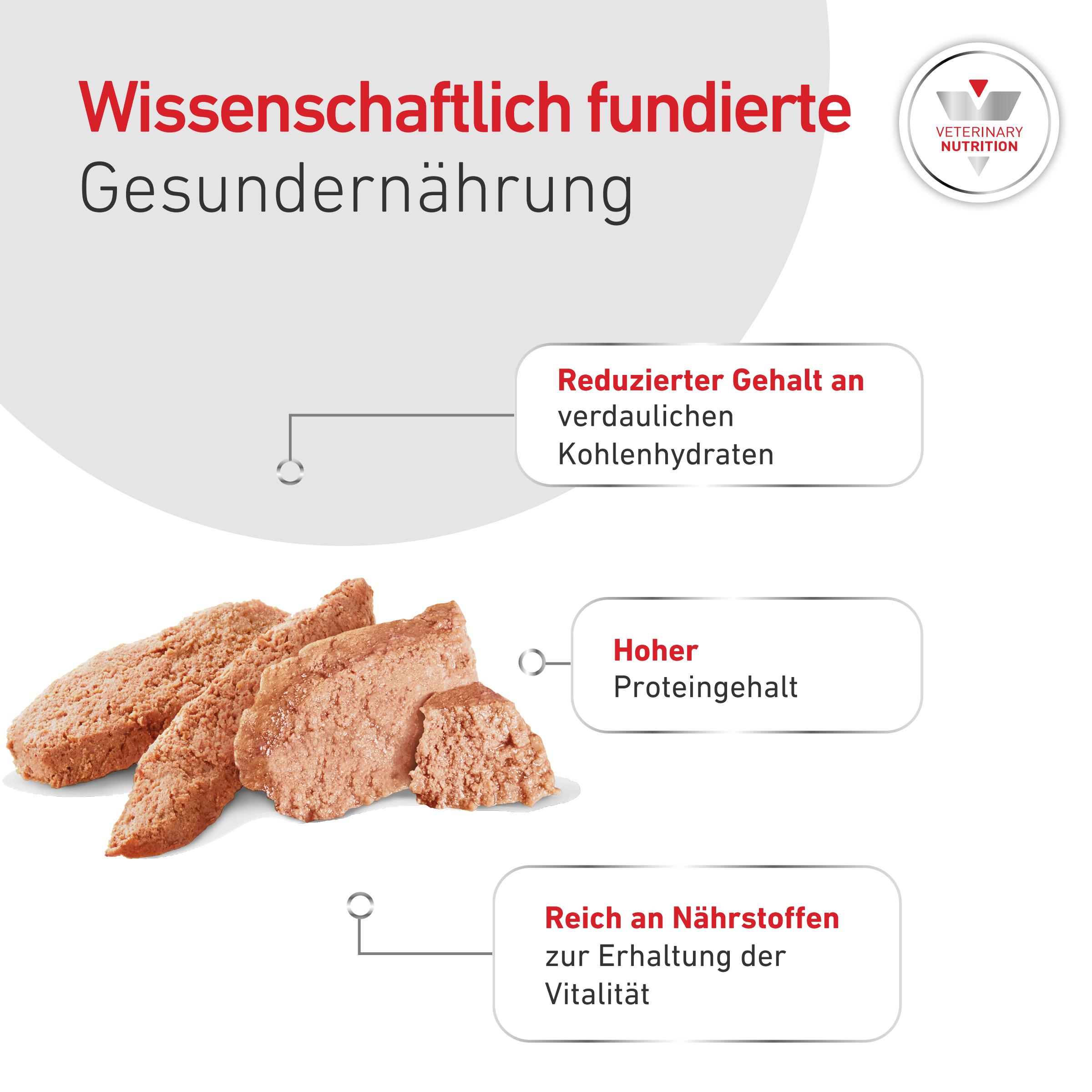 RC-GLYCOBALANCE LOW CARB Loaf - Nassfutter Hund -