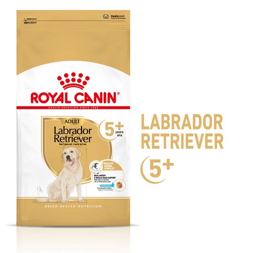 Royal Canin Labrador Retriever Adult 5+ Trockenfutter für Hunde ab 5 Jahren 