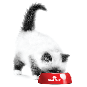 Royal Canin Markenshop Katze Royal Canin Markenshop Katze