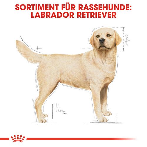 Royal Canin Labrador Retriever Adult Hundefutter