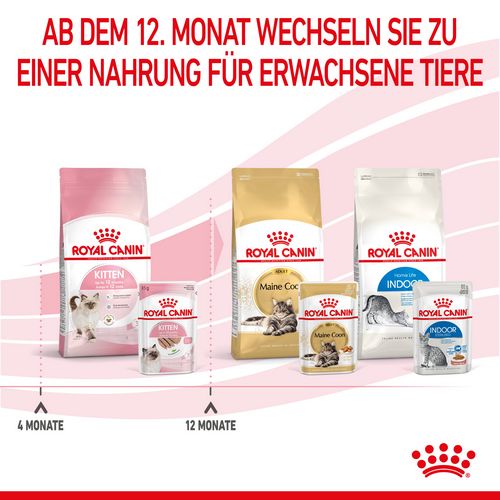 Royal Canin KITTEN Nassfutter in Mousse für Kätzchen 12 x 85 g