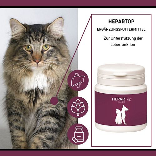 reboVet - ReboTabs - HEPAR-Top - 100 Tabs