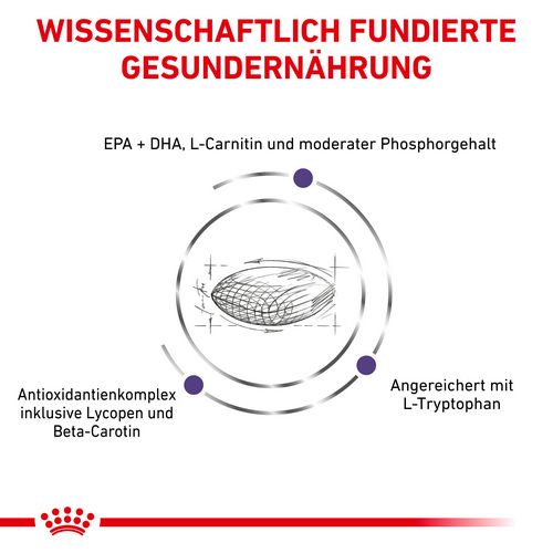 Royal Canin Expert MATURE CONSULT MEDIUM DOGS  Trockenfutter für Hunde