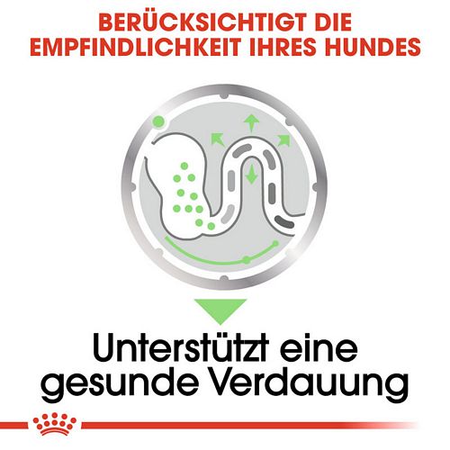 Royal Canin DIGESTIVE CARE Nassfutter