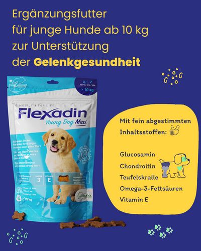 Vetoquinol - Flexadin - Young Dog MAXI - 60 Chews 