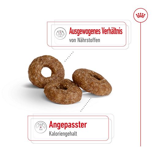 Royal Canin MINI Ageing 12+ Trockenfutter für ältere kleine Hunde Kroketten