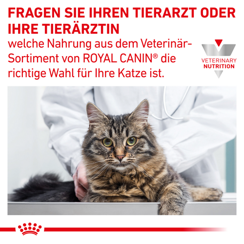 Royal Canin GASTROINTESTINAL KITTEN Trockenfutter für Katzenwelpen 2 kg