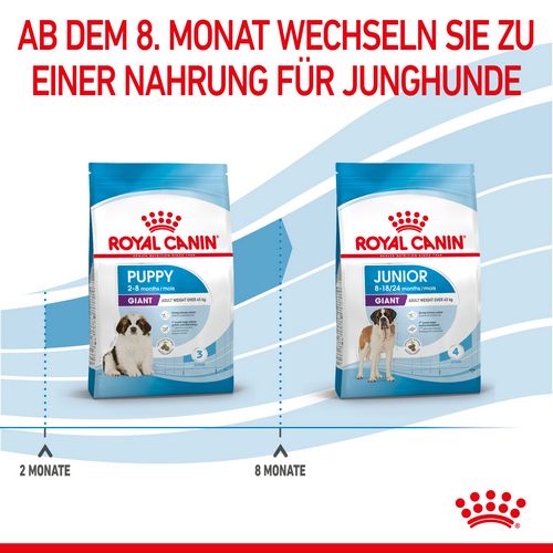 Royal Canin GIANT Puppy Trockenfutter Wechsel