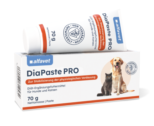 DiaPastePro70g