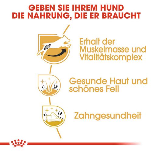 Royal Canin Jack Russell Terrier Adult Hundefutter trocken Vorteile