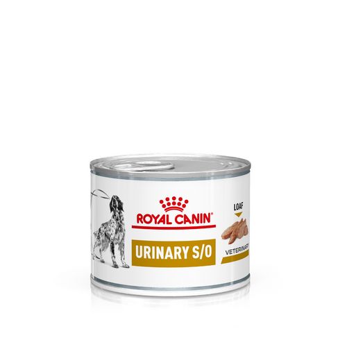 Royal Canin Veterinary URINARY S/O Mousse Nassfutter für Hunde 12 x 410 g