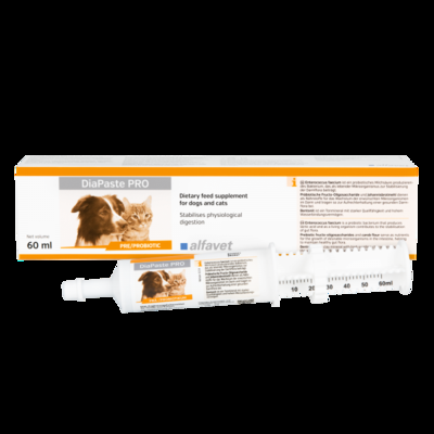 alfavet - DiaPaste PRO Injektor - Hund, Katze - 60 ml alfavet - DiaPaste PRO Injektor - Hund, Katze - 60 ml