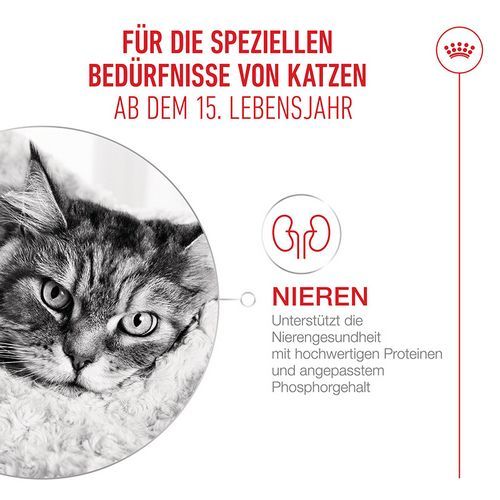 Royal Canin Ageing 15+ Gravy Niere