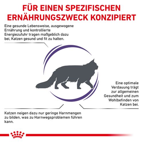 ROYAL CANIN Expert ADULT Trockenfutter für Katzen