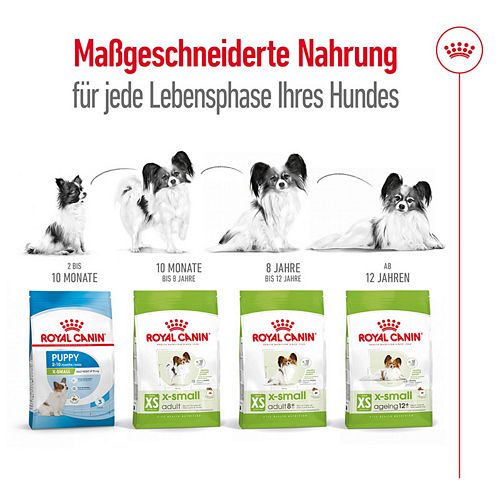 Royal Canin X-SMALL Adult Trockenfutter für sehr kleine Hunde Lebensphasen