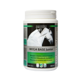 vetoquinol-eqistro-mega-base-junior-1000mlMDsLZkoCrNitd Vetoquinol Equistro Mega base junior 1000 ml