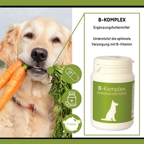 reboVet - B-Komplex - 100 Tabs