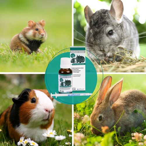 RodiCare Immun 15ml für Heimtiere
