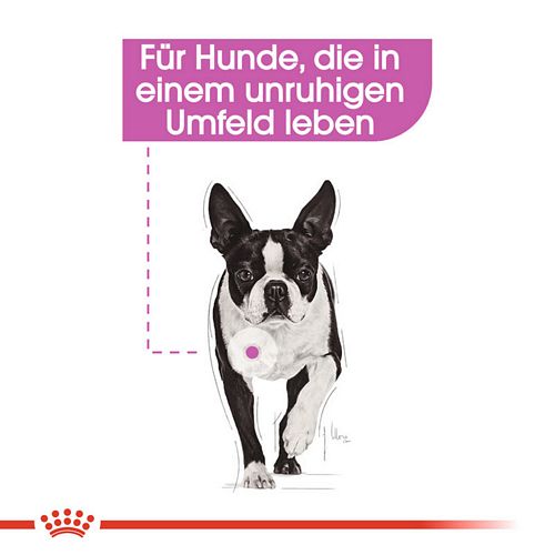 Royal Canin RELAX CARE Nassfutter für Hunde in unruhigem Umfeld