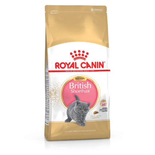 Royal Canin British Shorthair Kittenfutter trocken für Kätzchen