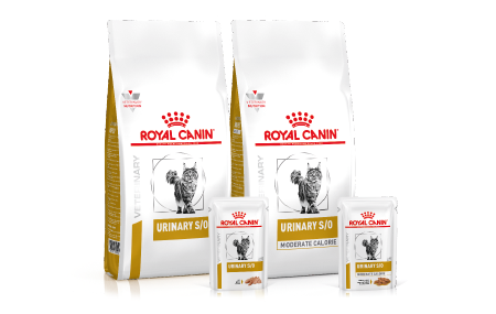 Royal Canin Urinary S/O Produkte