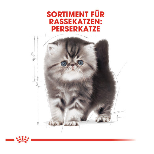 Royal Canin Persian Kittenfutter trocken für Perser-Kätzchen