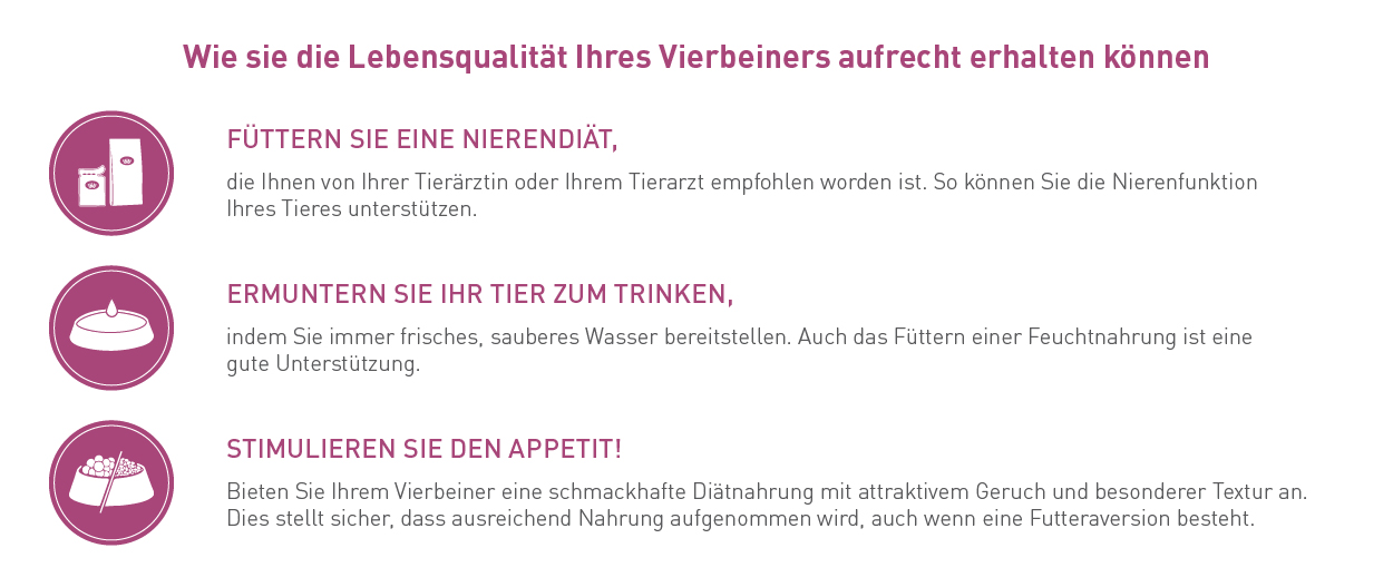 Royal Canin Veterinary Erhöhung der Lebensqualität Royal Canin Veterinary Erhöhung der Lebensqualität