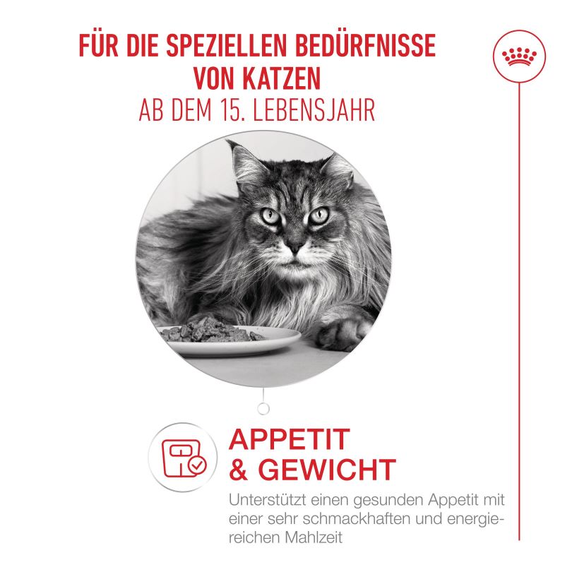 Royal Canin - AGEING 15+ AIRLIFT Loaf - Nassfutter KATZE