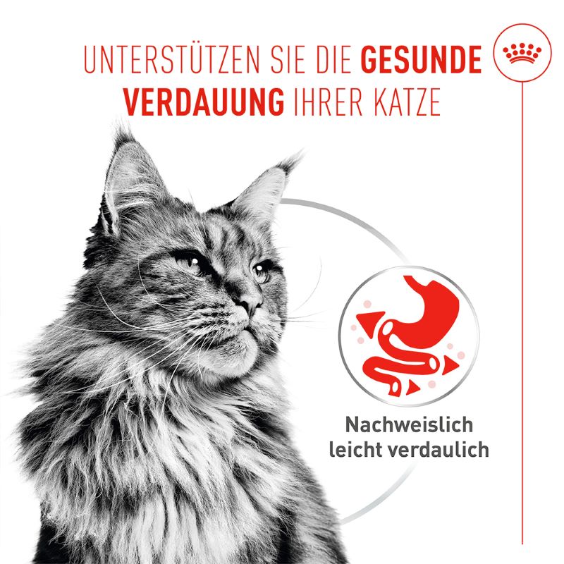 Royal Canin - DIGESTIVE CARE AIRLIFT Loaf - Nassfutter KATZE