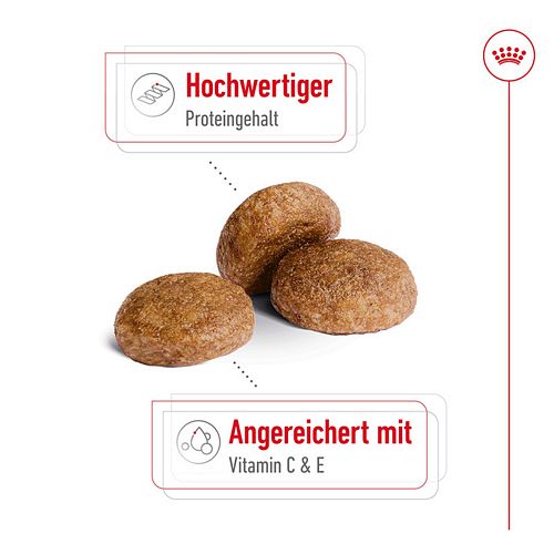 Royal Canin MEDIUM Adult 7+ Trockenfutter für ältere mittelgroße Hunde 4kg