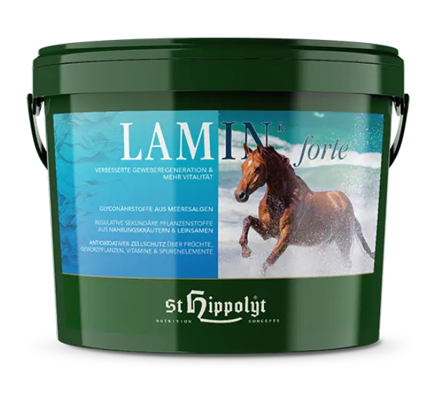 St. Hippolyt Lamin forte