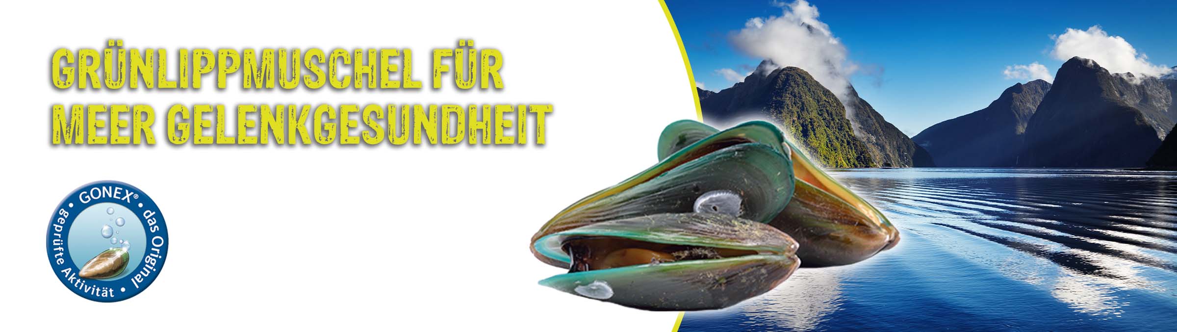 Grünlippmuschel für Meer Gelenkgesundheit Grünlippmuschel für Meer Gelenkgesundheit