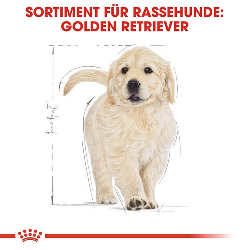 Royal Canin Golden Retriever Puppy Welpenfutter trocken