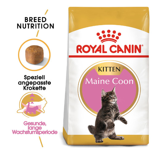 Royal Canin Maine Coon Trockenfutter für Kätzchen Royal Canin Maine Coon Trockenfutter für Kätzchen