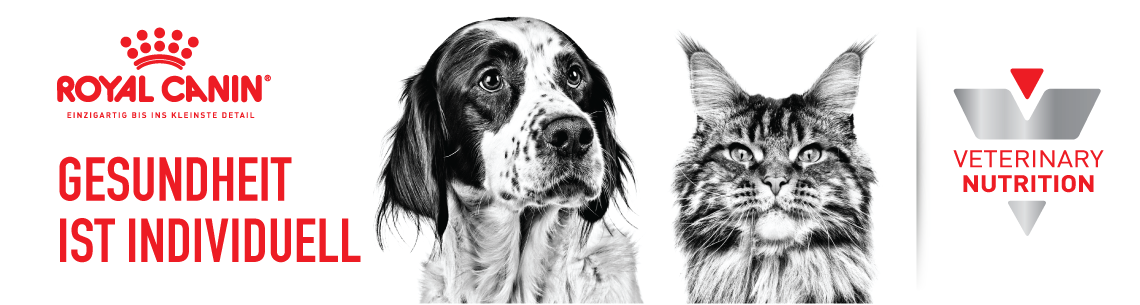 Royal Canin Markenkommunikation Banner 1b Royal Canin Markenkommunikation Banner 1b